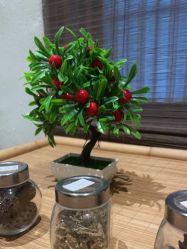 -香秀空间科技抗衰·美容中心