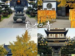-真如寺