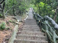 -梧桐山风景名胜区