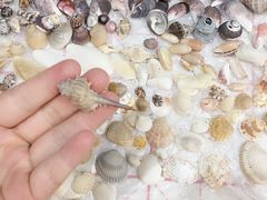 -六鳌翡翠湾滨海度假景区
