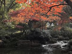 -中国茶叶博物馆(双峰馆区)