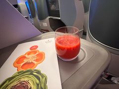 -新加坡航空公司(ION)
