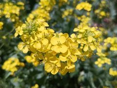 -扁都口生态休闲旅游区