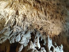 -怀托摩萤火虫洞