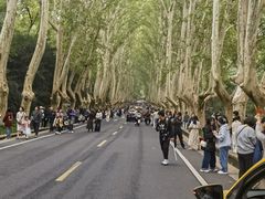 -南京中国近代史遗址博物馆(南京总统府)