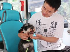 -帕帕拉兹宠物(亚洲旗舰店)