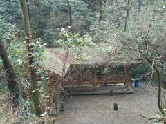 -广州市帽峰山景区