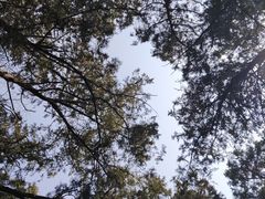 -香山公园