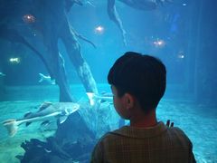 -华夏文旅海洋公园