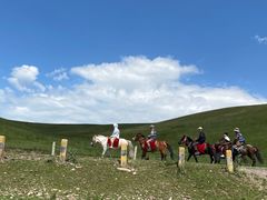 -山丹皇家马场