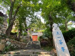 -平湖九龙山旅游度假区