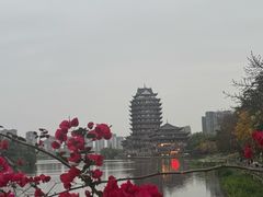 -眉山湿地公园(东坡区)