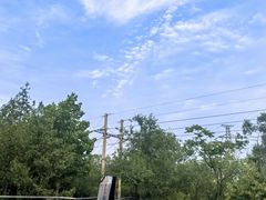 -白水寺森林公园