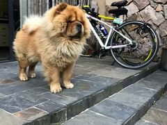 -看见远方·莫干遥远的山民宿