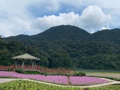 -广州市石门国家森林公园