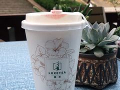 -麓茶