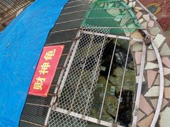 -昆明动物园