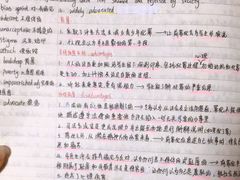 -新航道雅思托福·留学·考研培训(人民广场校区)