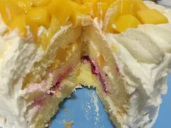 -维尔纳斯·生日蛋糕·动物奶油冰淇淋蛋糕(六里桥店)