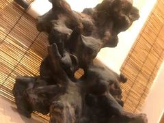 -山水悦茶会所(上海沙龙新天地天宝商业中心店)