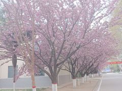 -西安汉城湖景区