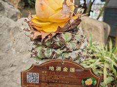 -南通洲际绿博园