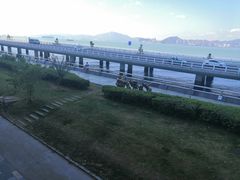 -演武大桥观景平台