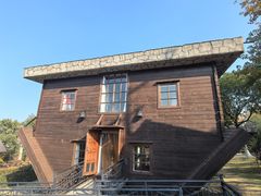 -金山农民画村-枫泾波兰倒置屋