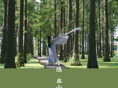 -渌洋湖湿地公园