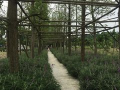 -洪湖家庭农场·团建·露营·会议