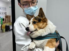 -我宠我爱动物医院·全科·中医骨外科专科店(新世界店)