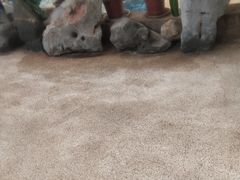 -天泉水都(子固路馆)