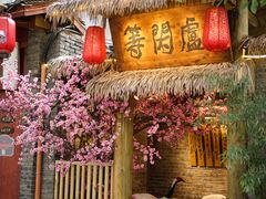 -泡桐树街