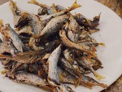 -力哥地道海南菜·联谊文昌鸡老店