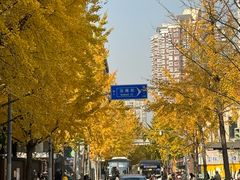 -85度C(生甜甜圈研究工坊·上海局门店)