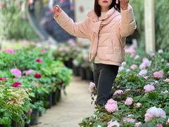 -花之城