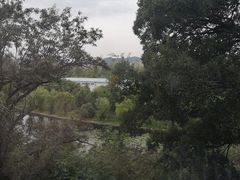 -上海市保健医疗中心(华东疗养院)