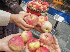 -金鼎雪山牦牛杂火锅(理县总店)