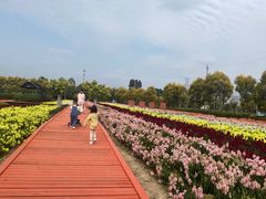 -广东花都香草世界旅游度假区