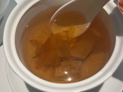 -觀芷隐轩