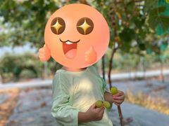 -金谷域澳洲庄园