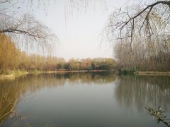 -昆山城市生态森林公园