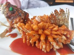 松鼠桂鱼-松鹤楼·非遗·苏帮菜(融科店)