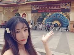 -西双版纳勐泐文化旅游区