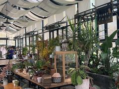 -北马山庄植趣咖啡