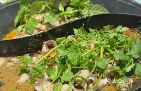 Odd Flavor Herba Polygoni Soup