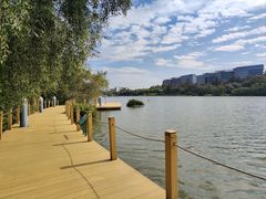 -华侨城湿地公园