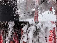 -终南山国家森林公园