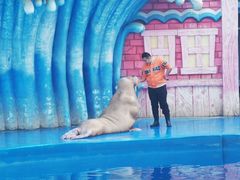 -华夏文旅海洋公园