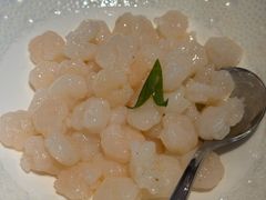 -圆苑(金茂店)